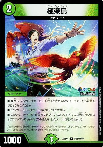 レアDM24EX4 PR8/PR60 極楽鳥
